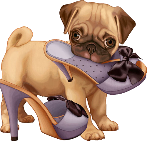 Puppy With Shoe Illustration PNG image