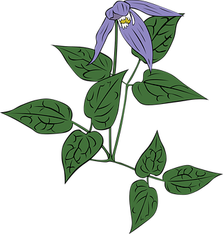 Purple Bell Flower Illustration PNG image