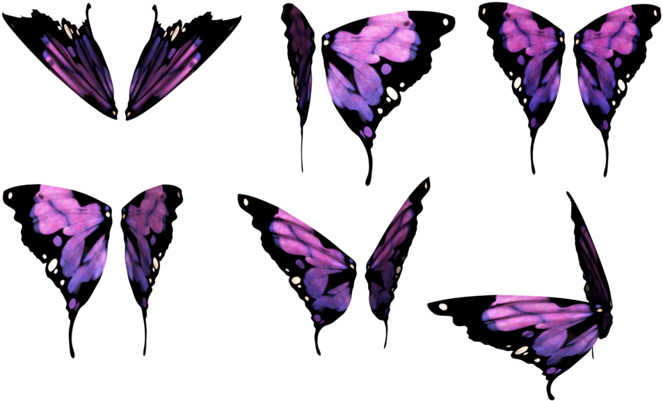 Purple Butterfly Wings Collection PNG image