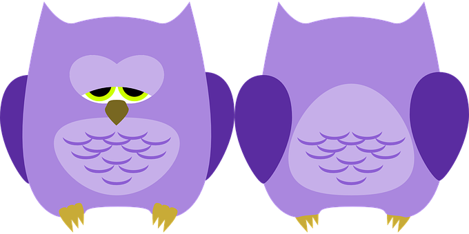 Purple Cartoon Owls Illustration PNG image