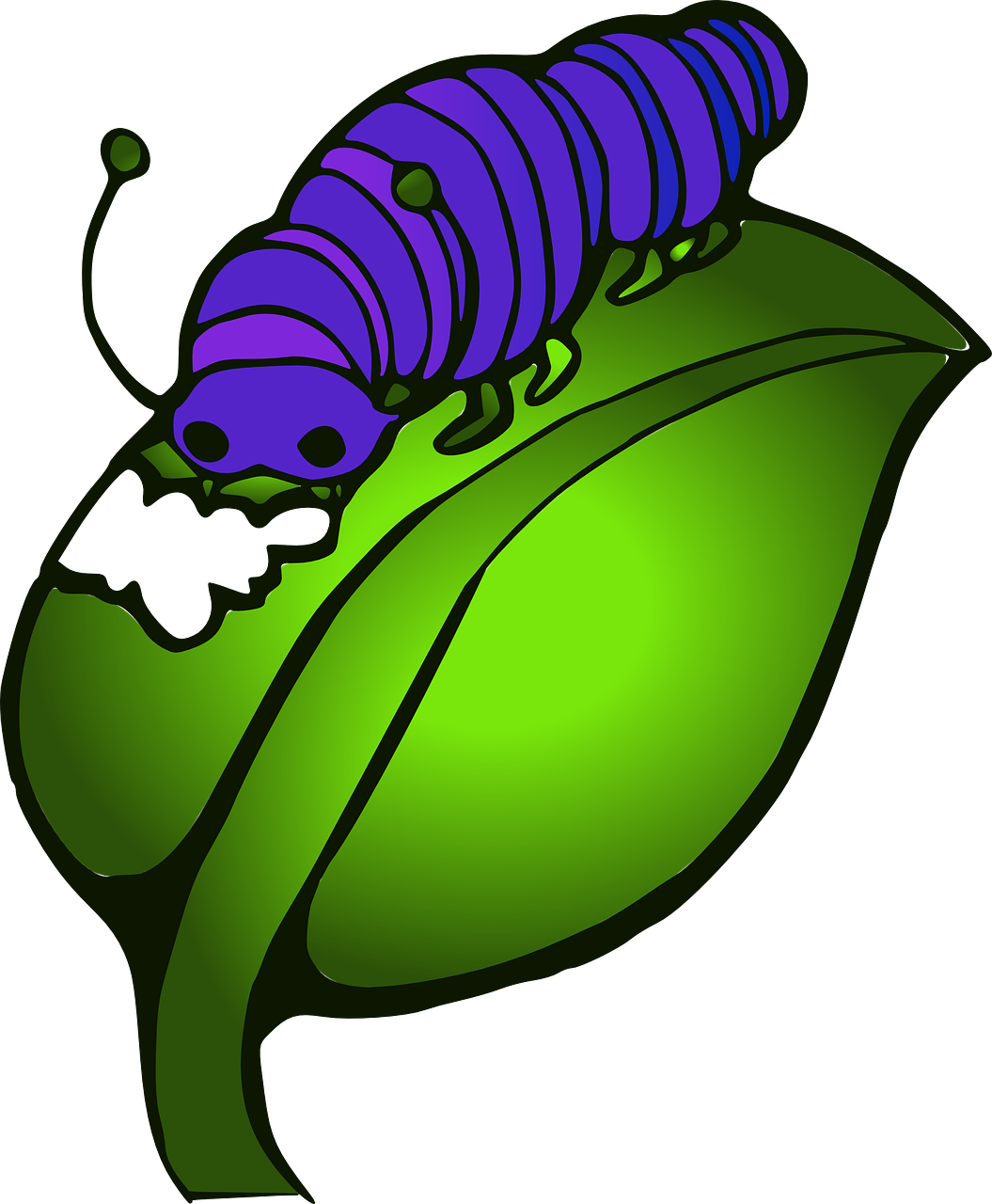 Purple Caterpillaron Leaf PNG image