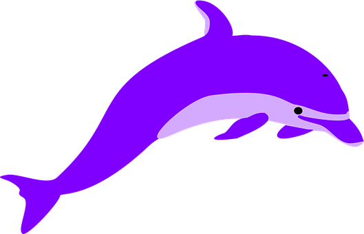 Purple Dolphin Graphic PNG image