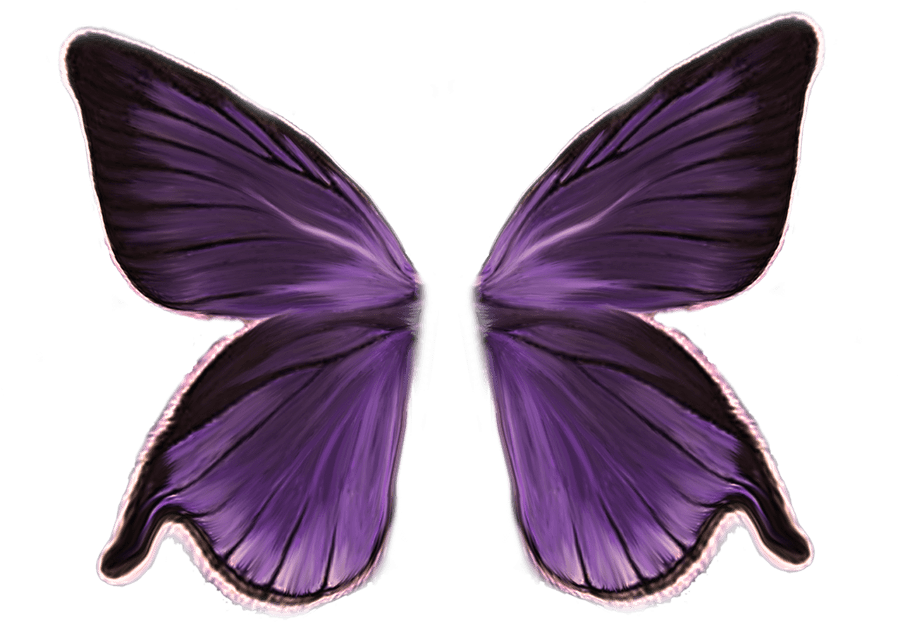 Purple Fairy Wings Illustration PNG image