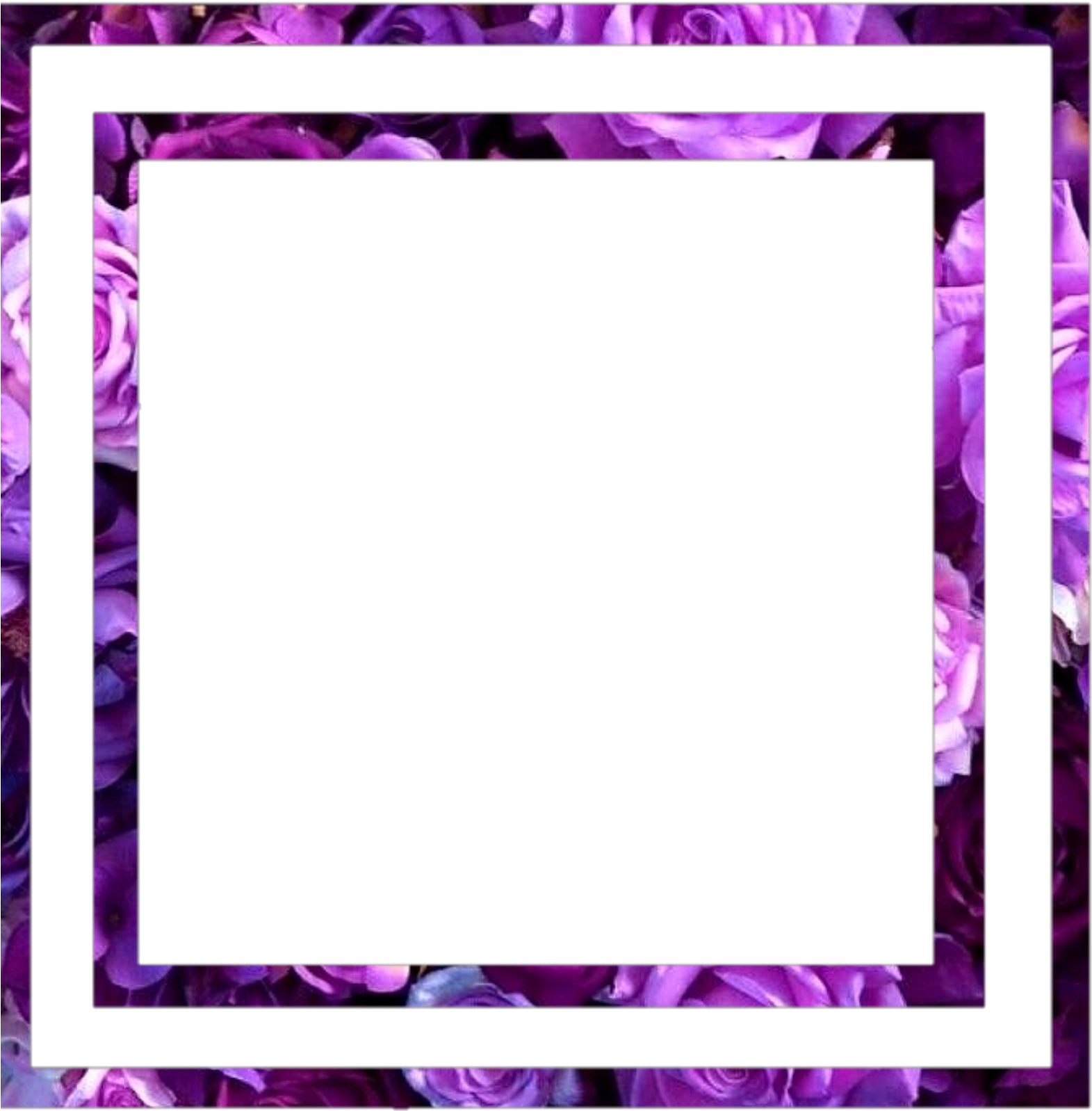 Purple Floral Frame Template PNG image