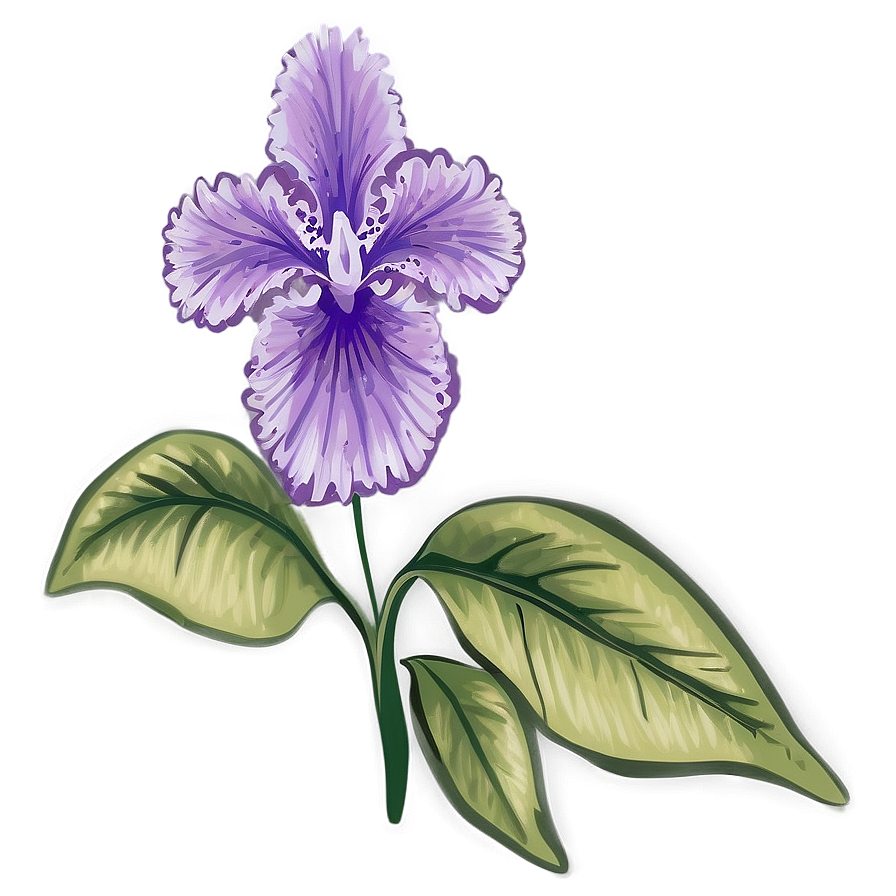 Purple Floral Png 05242024 PNG image