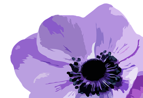 Purple Flower Illustration PNG image