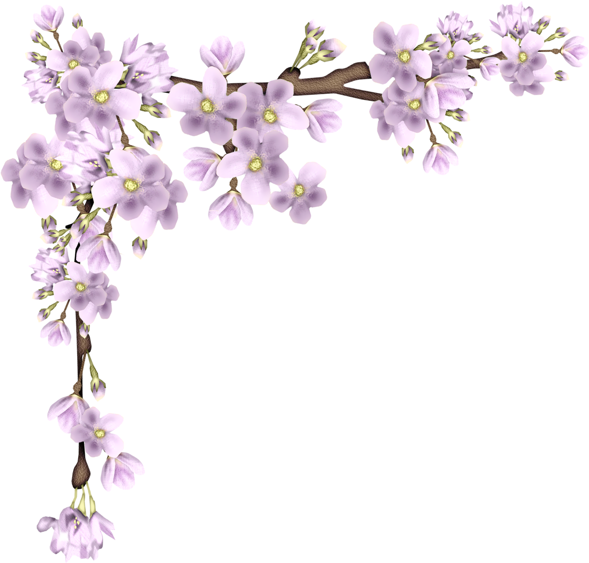 Purple Flowering Branch Graphic PNG image