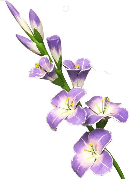 Purple Gladiolus Flowers Transparent Background PNG image