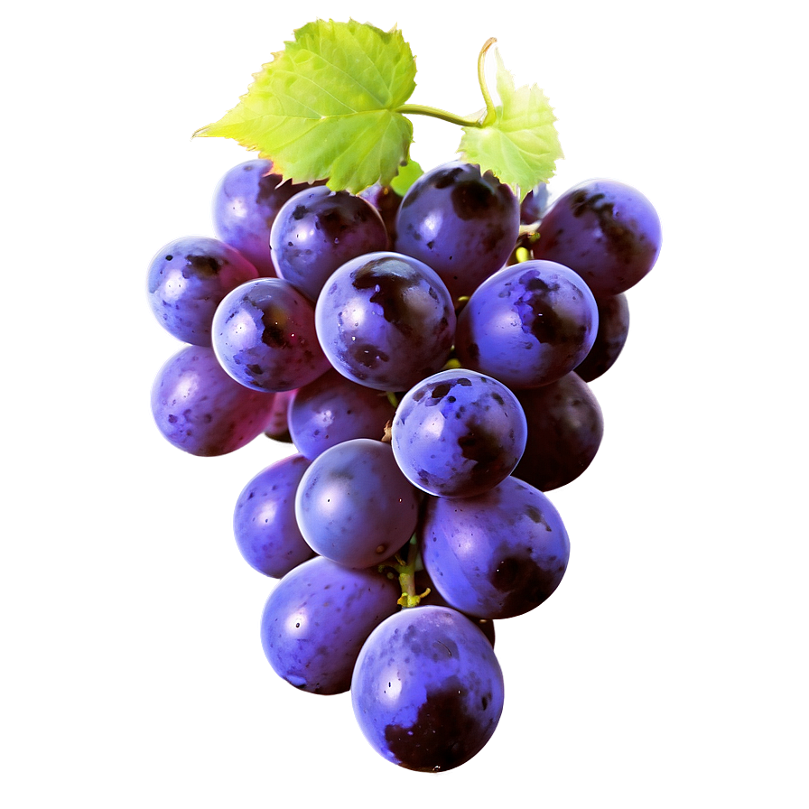 Purple Grape Png Kcl PNG image