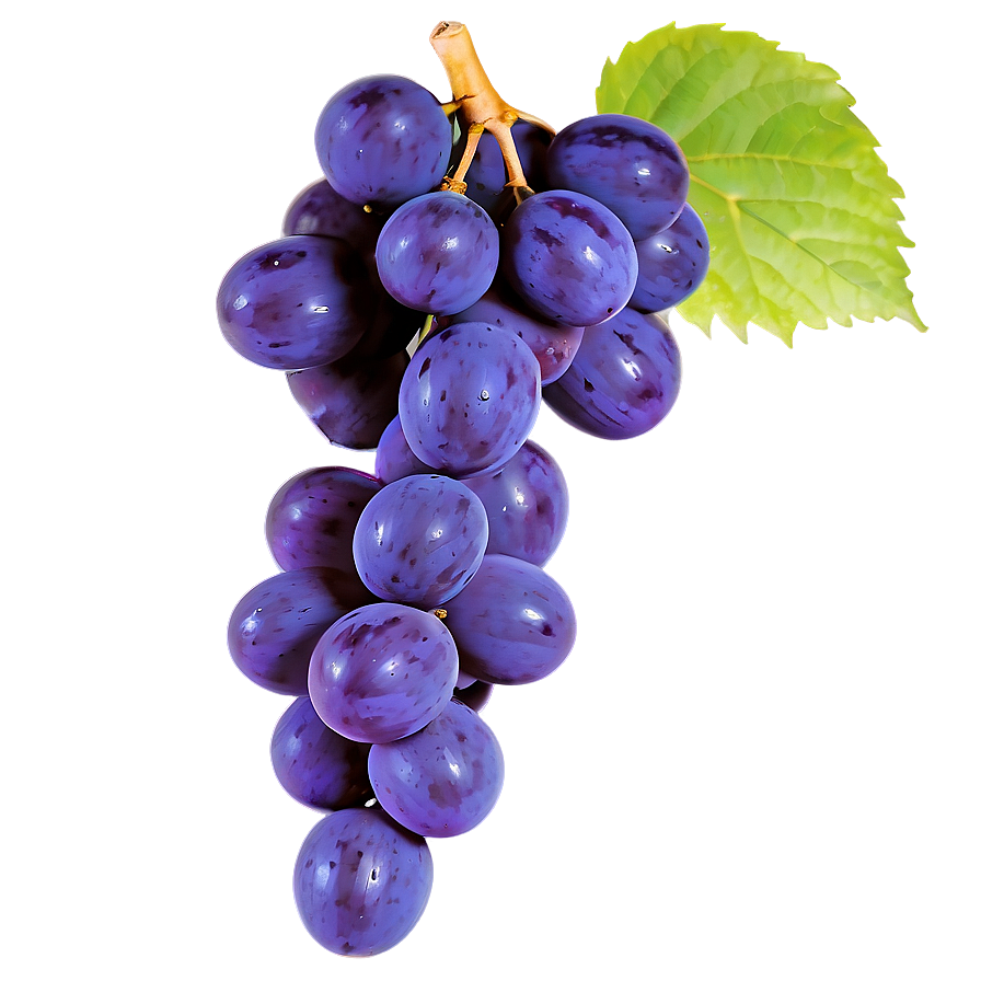 Purple Grape Png Mkb56 PNG image