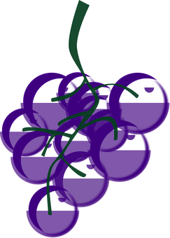 Purple Grapes Vector Illustration PNG image