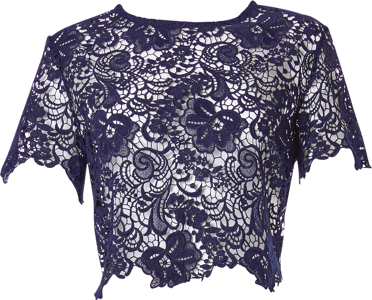 Purple Lace Blouse Design PNG image