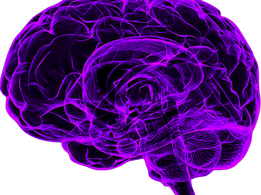 Purple Neural Network Brain Illustration PNG image