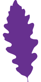 Purple Oak Leaf Silhouette PNG image