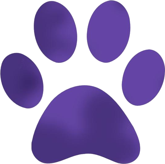 Purple Paw Print Graphic PNG image
