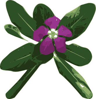 Purple Periwinkle Vector Illustration PNG image