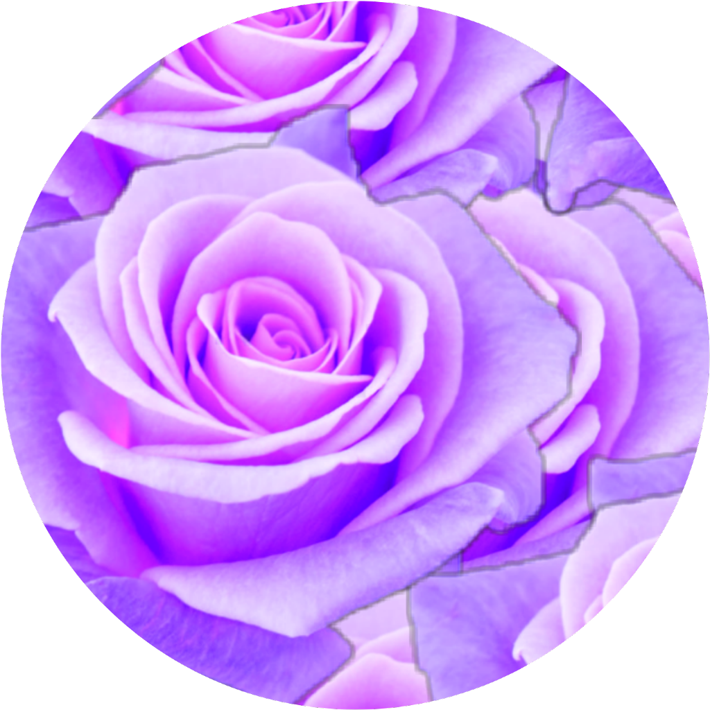 Purple Rose Cracked Texture PNG image