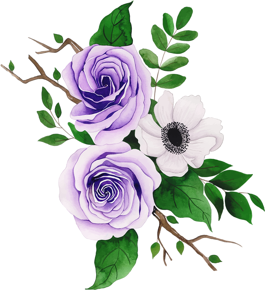 Purple Rosesand White Anemone Vector PNG image