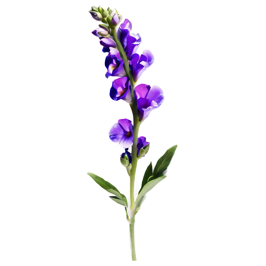 Purple Snapdragon Png 05242024 PNG image