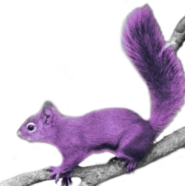 Purple Squirrelon Branch PNG image