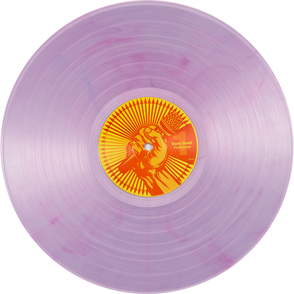 Purple Vinyl Record Dana Gould Funhouse PNG image