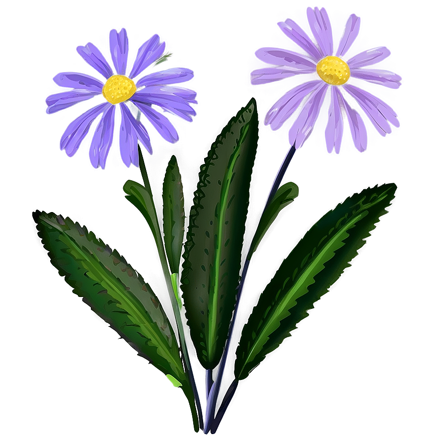 Purple Wildflower Png 23 PNG image