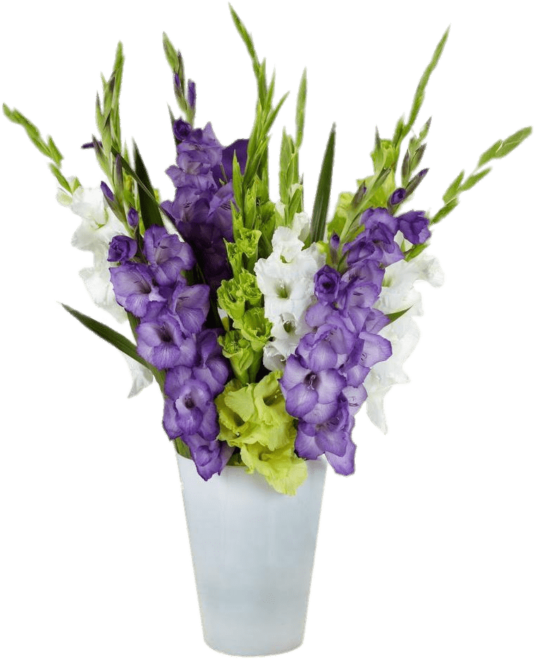 Purpleand White Gladiolus Bouquet PNG image