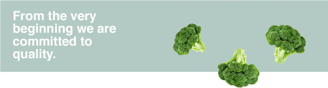 Quality Broccoli Commitment Banner PNG image