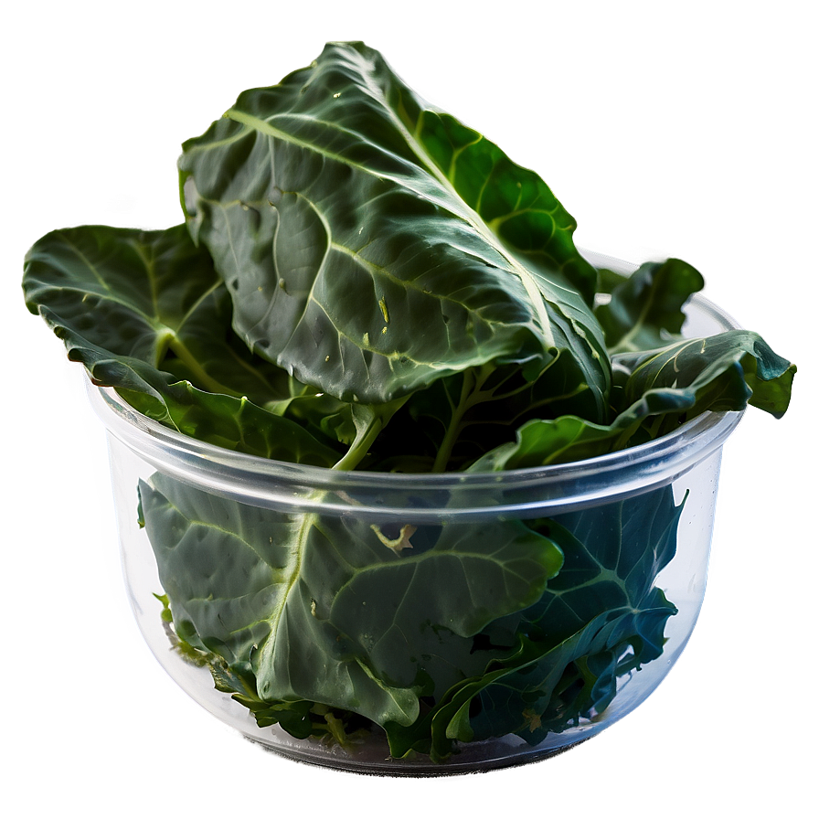 Quick Collard Greens Png 26 PNG image