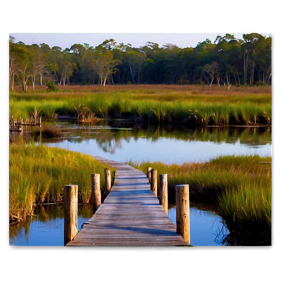 Quiet Marsh Walkway Png 06202024 PNG image