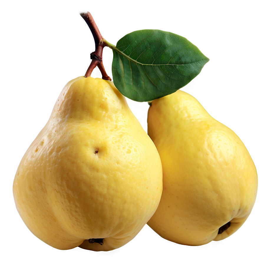 Quince A PNG image