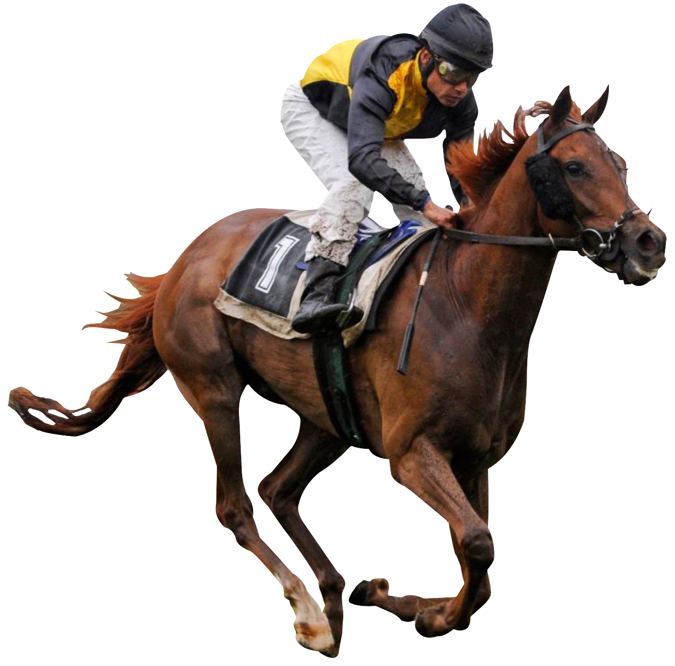 Racehorseand Jockeyin Action PNG image