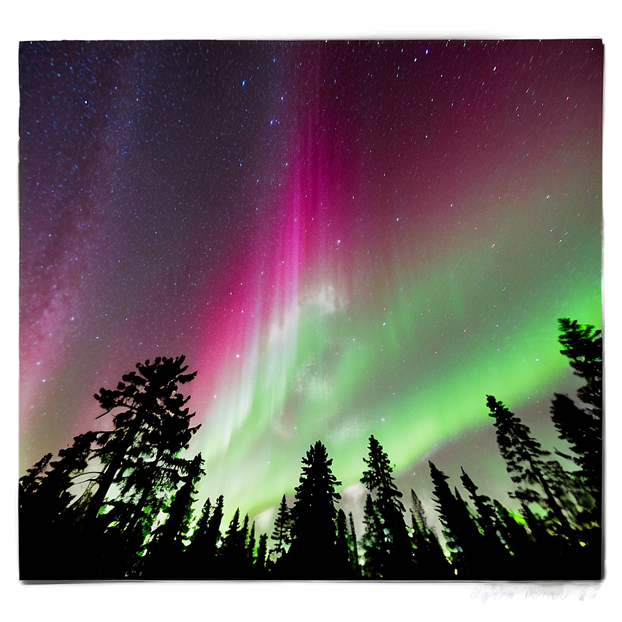 Radiant Aurora Above Treetops Png 90 PNG image