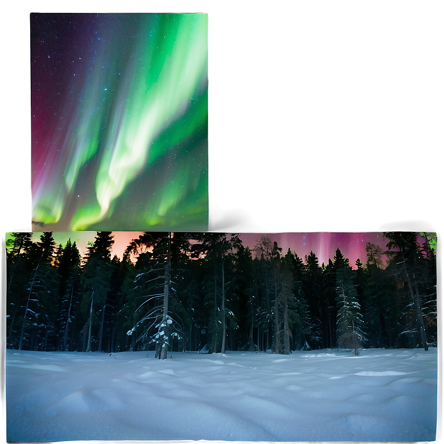 Radiant Aurora Above Treetops Png Owi72 PNG image