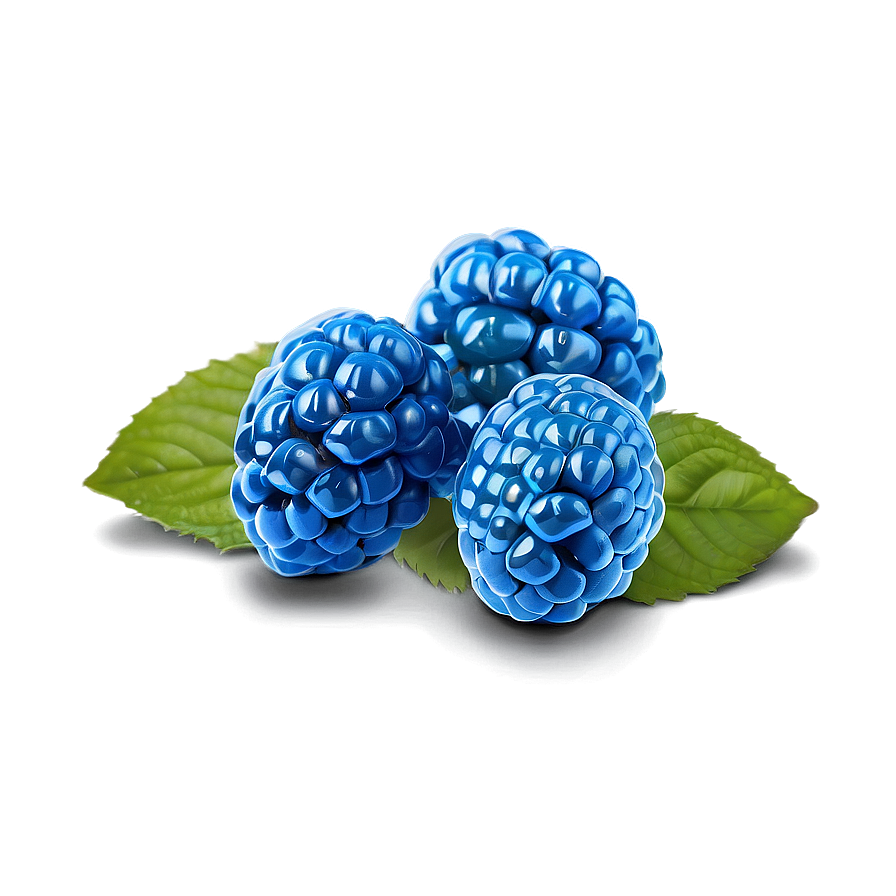 Radiant Blue Raspberry Png 06212024 PNG image