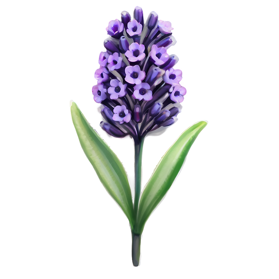 Radiant Lavender Bloom Png 05242024 PNG image