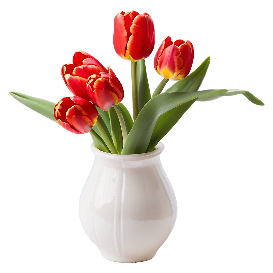 Radiant Red Tulips Png Paj PNG image