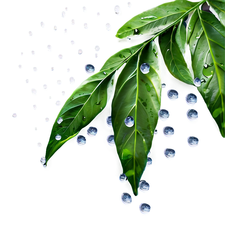 Rain On Leaves Png 05032024 PNG image