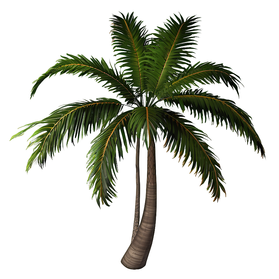 Rainbow Palm Tree Png 98 PNG image