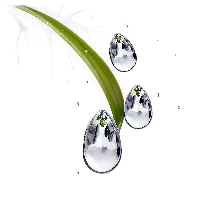 Raindrop On Petal Png Inx34 PNG image