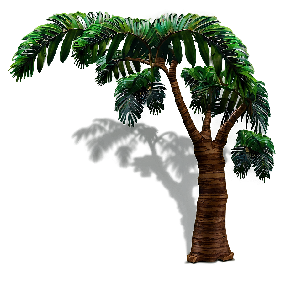 Rainforest Tree Shadow Png 51 PNG image