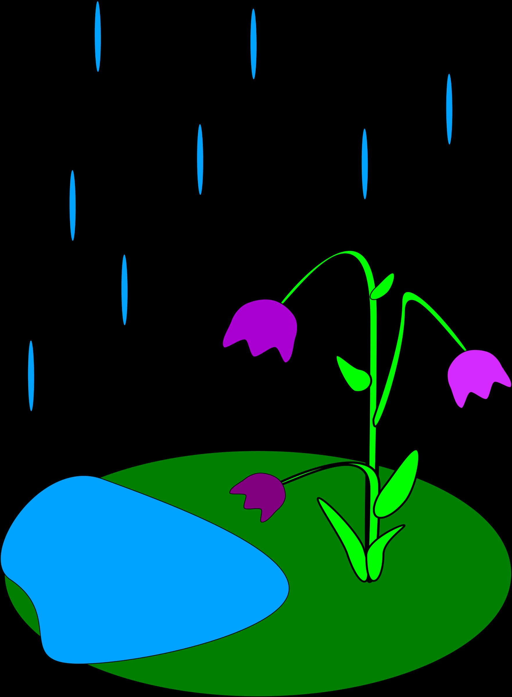 Rainy Night Flower Illustration PNG image