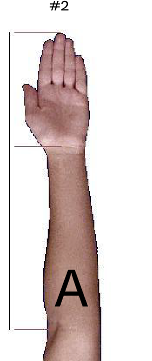 Raised Arm Tattoo Placement Example PNG image