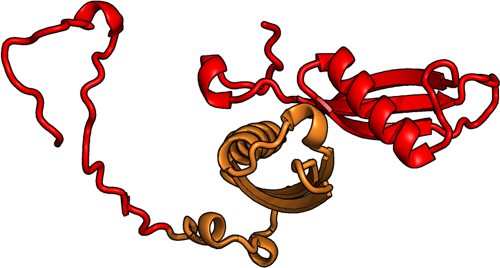 Rakhi Festival3 D Molecular Structure PNG image