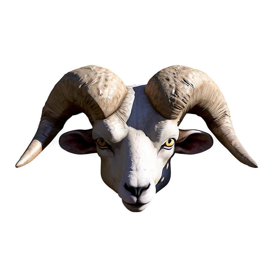 Ram Head B PNG image