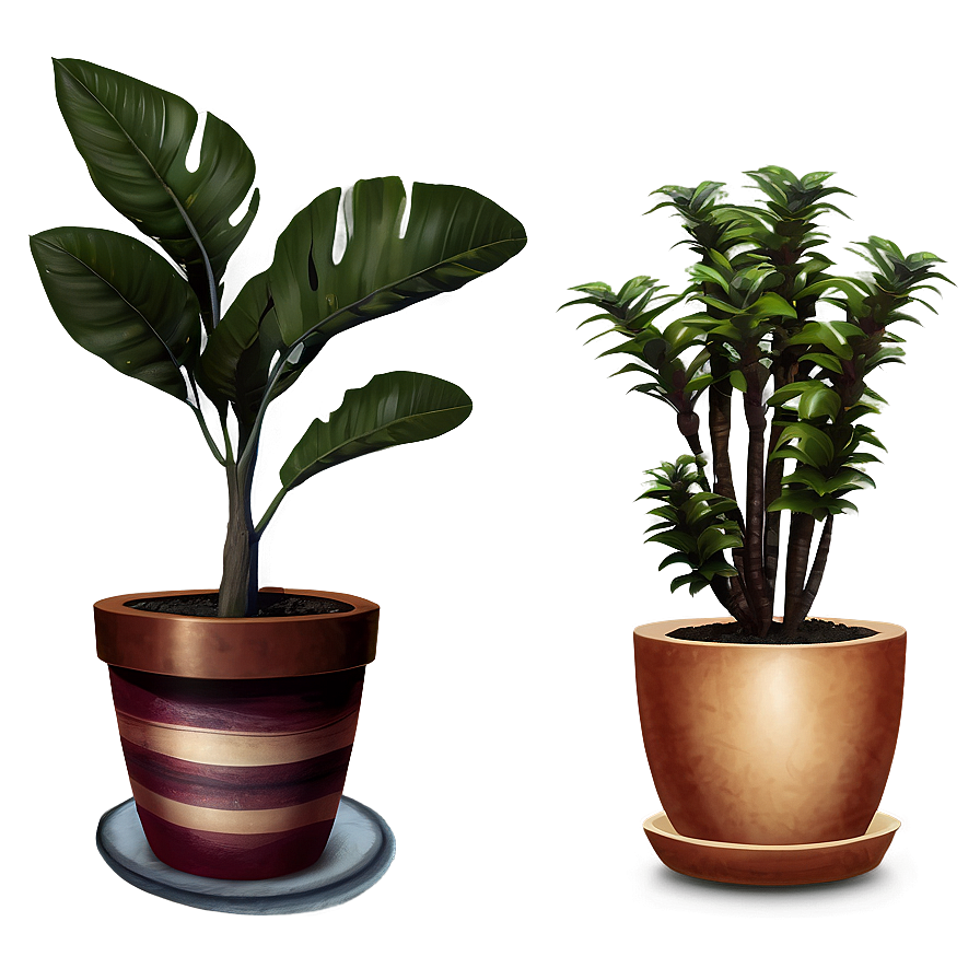 Rare Potted Plants Png 71 PNG image