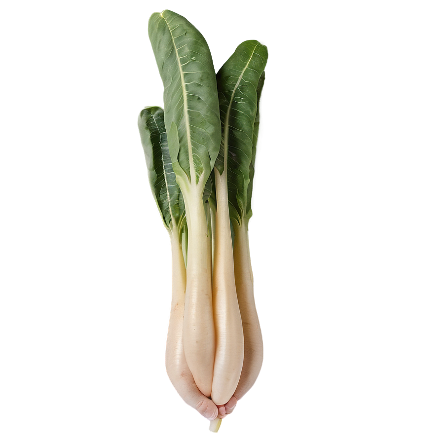 Rare Vegetables Png 94 PNG image