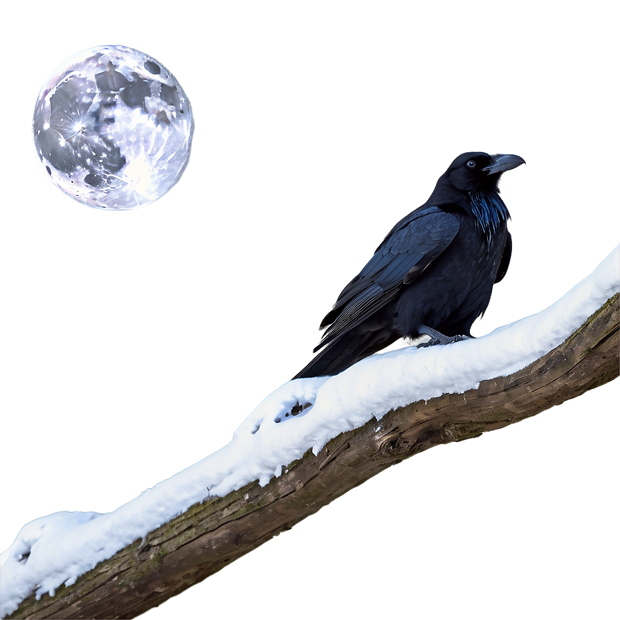 Raven And Full Moon Png Ejf PNG image