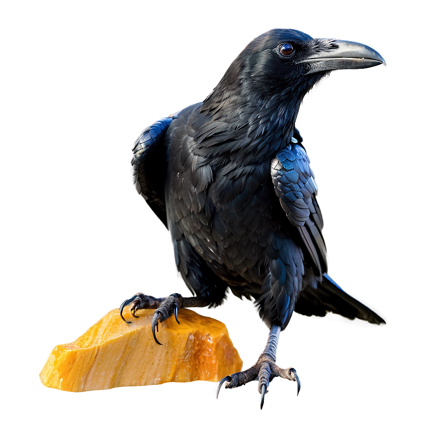 Raven Carrying Gemstone Png Toq36 PNG image