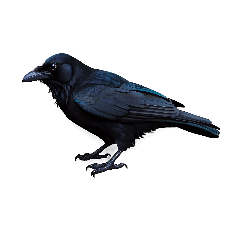 Raven In Darkness Png 05062024 PNG image